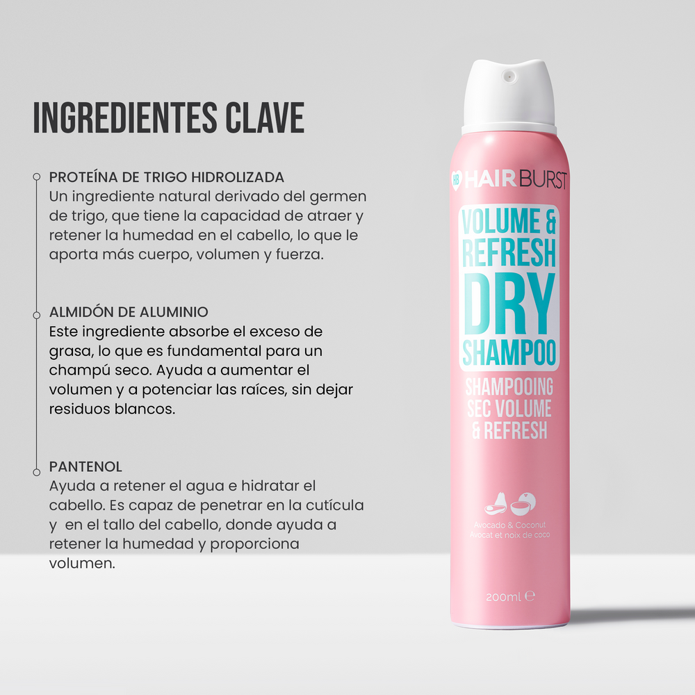 Champú en Seco