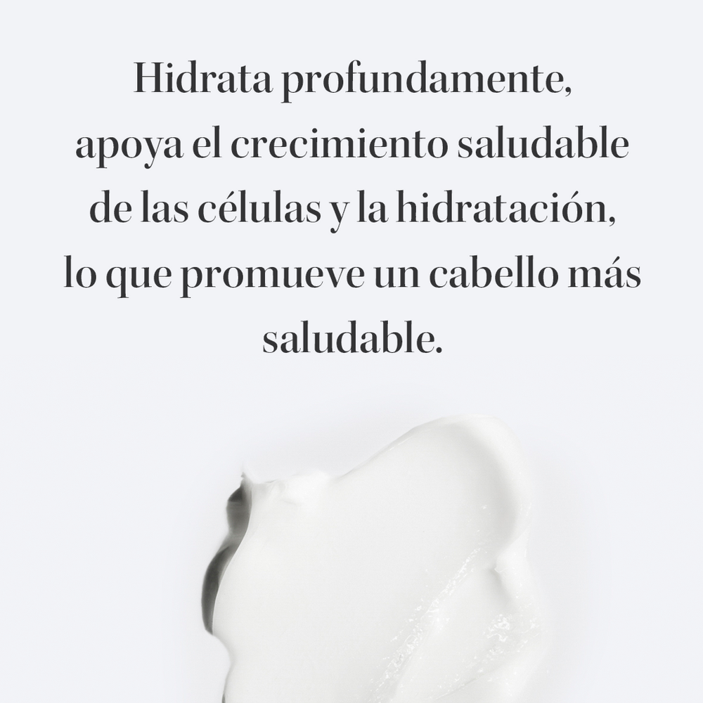 Pack Cabello Seco y Dañado