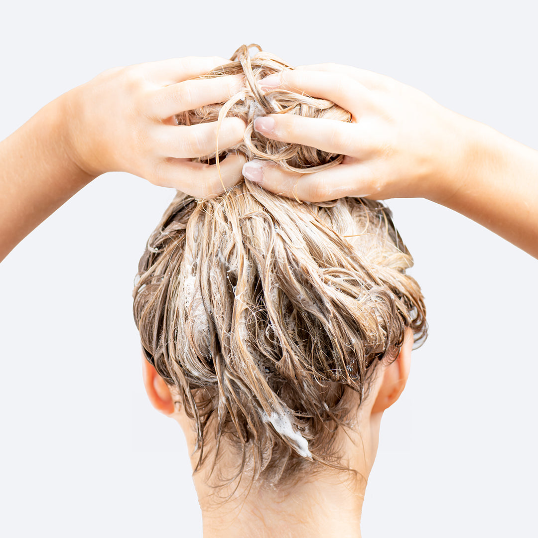 Champú Cabello Seco y Dañado