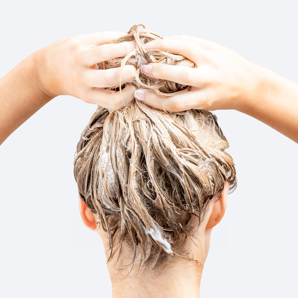 Champú Cabello Seco y Dañado