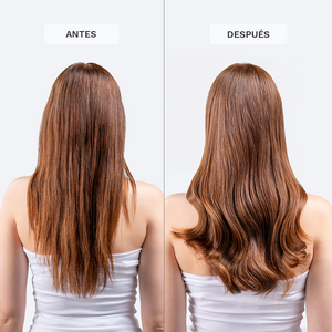 Champú Cabello Graso